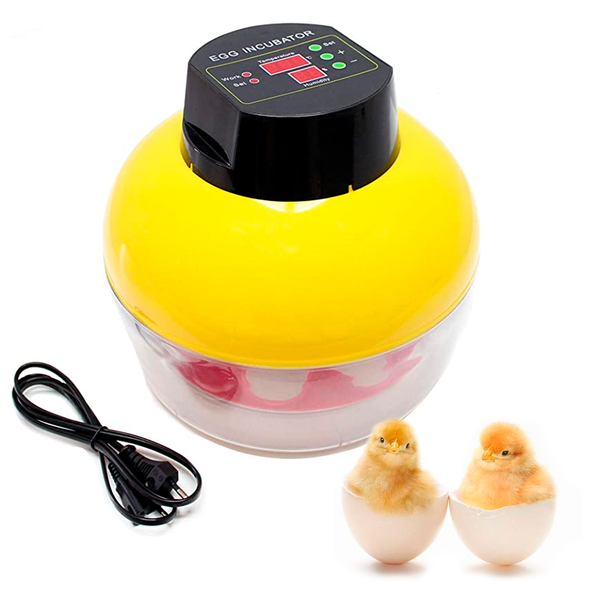  حاضنة دواجن كهربائية أوتوماتيكية مع خاصية تلقائية لتقليب البيض بقدرة إستعاب 8 حبات بيض Incubateur De Volaille Electrique Automatique